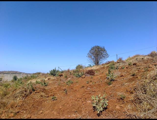 1,050M² VACANT LAND FOR SALE IN TSHILUNGOMA